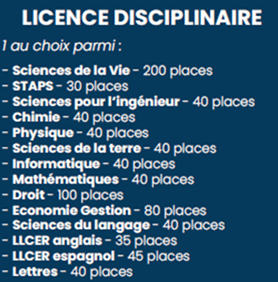 Licence disciplinaire